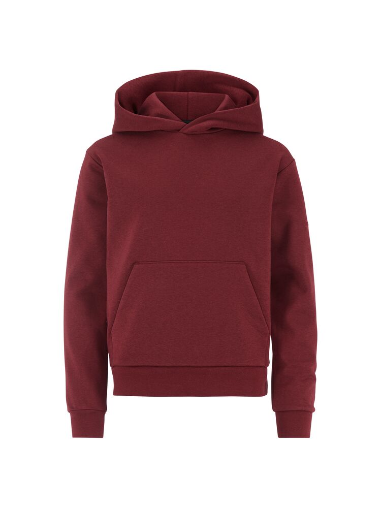 Community 2.0 hoodie jr